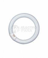 Лампа L 40/ 840 C G10q кольцевая (OSRAM)