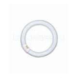 Лампа L32/840 C G10q OSRAM