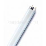 Лампа L36\640 G13 (OSRAM-СМ)