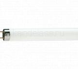 Лампа TL-D 18W/765 (PHILIPS)