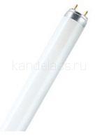 Лампа TL-D 90 Graphica 18W/950 (PHILIPS)