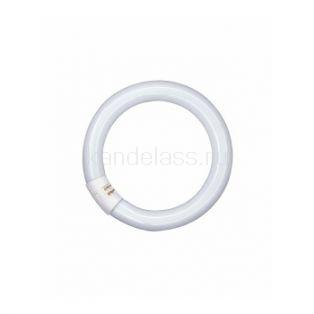 Лампа L32/840 C G10q OSRAM